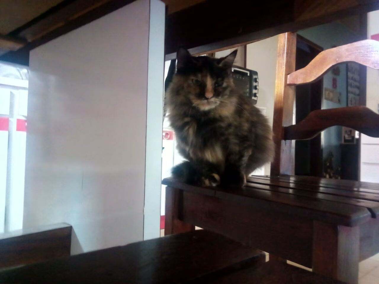 【传奇再现】奥沙利文：那些年他如何保持巅峰？，奥沙利文视频经典视频