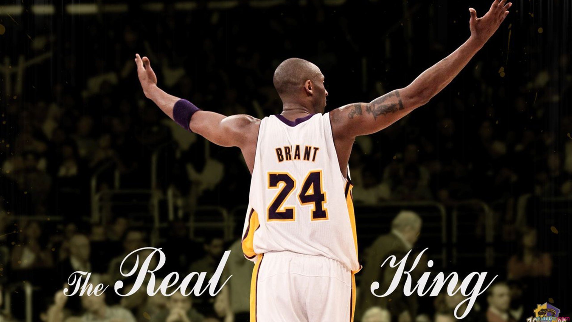 逆转夜：那些让欧洲震撼的经典比赛瞬间，欧冠逆转经典