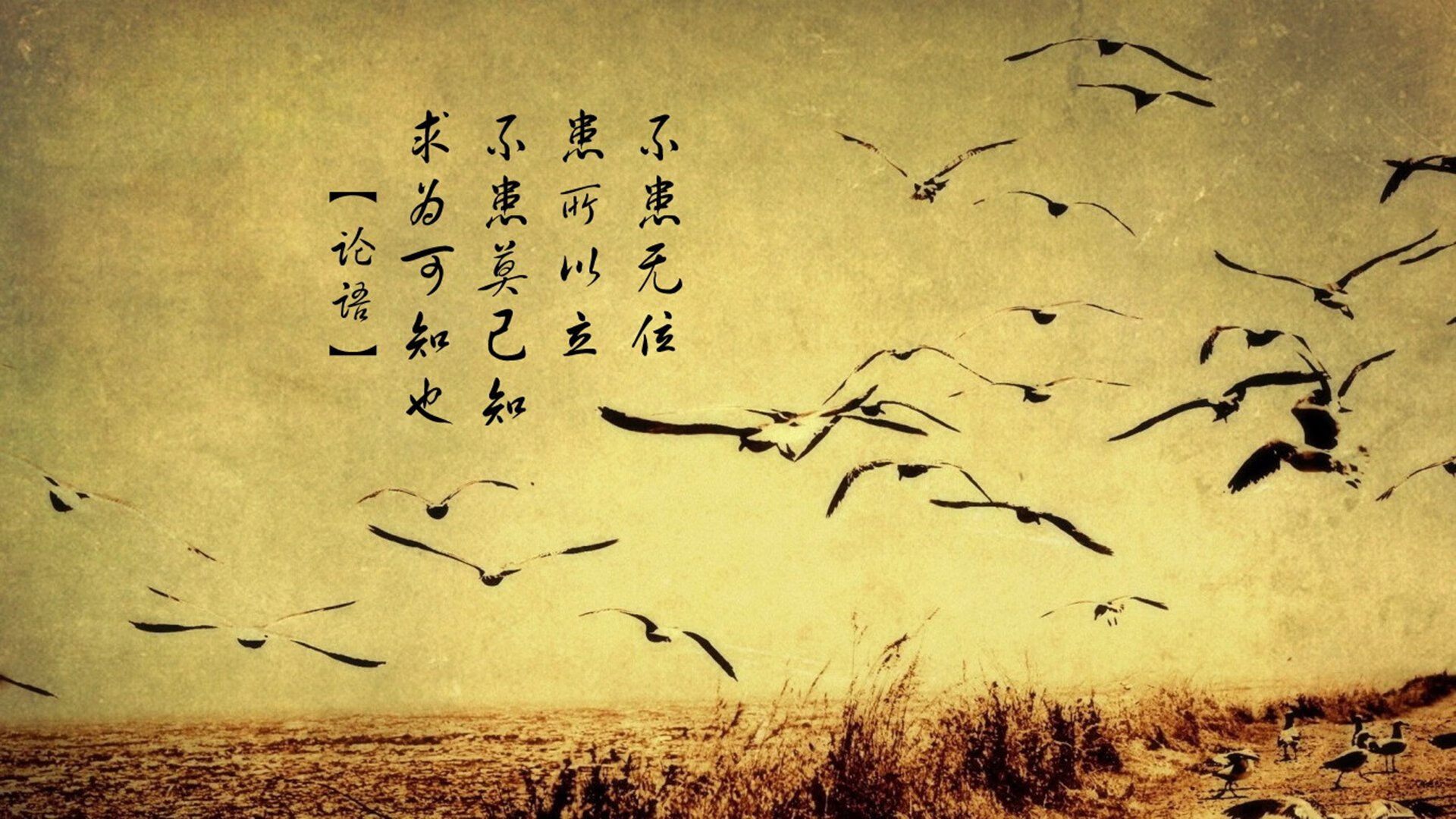 首批“足球+科技”创新项目在全国落地,开启行业新探索,足球创新创业项目