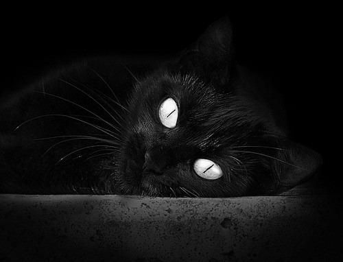 中国足球的球员伤病预防机制，足球运动员疾病