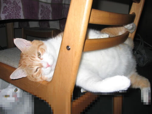 列支敦士登球队取得一场重要胜利，列支敦士登球星