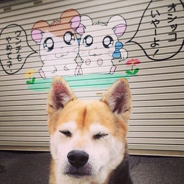 列斯联大名单疑似泄露，俱乐部展开调查，列斯肯为何回苏联