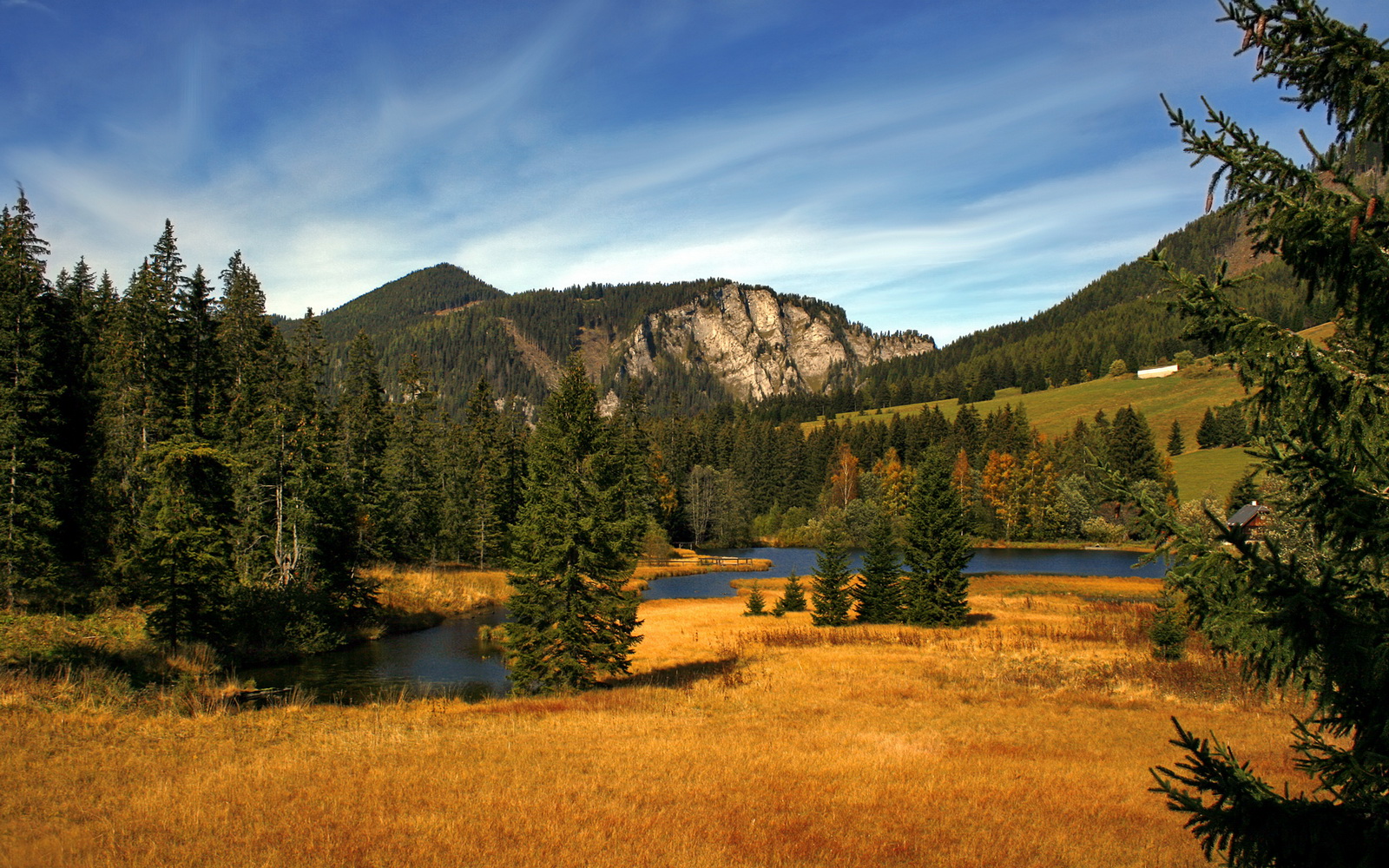 博洛尼亚主场告捷，提升士气备战下轮，博洛尼亚展