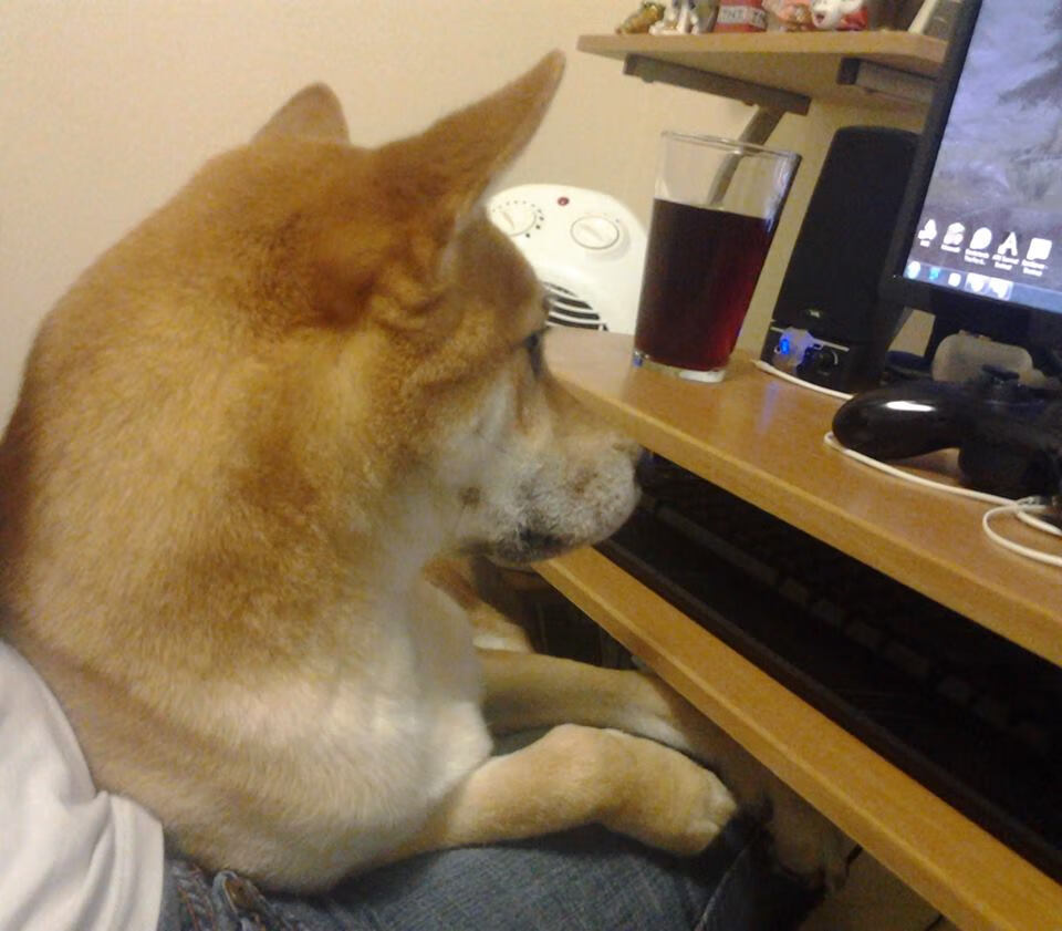 奥运资格赛中国拳击队斩获三张门票，奥运会中国拳击怎么样