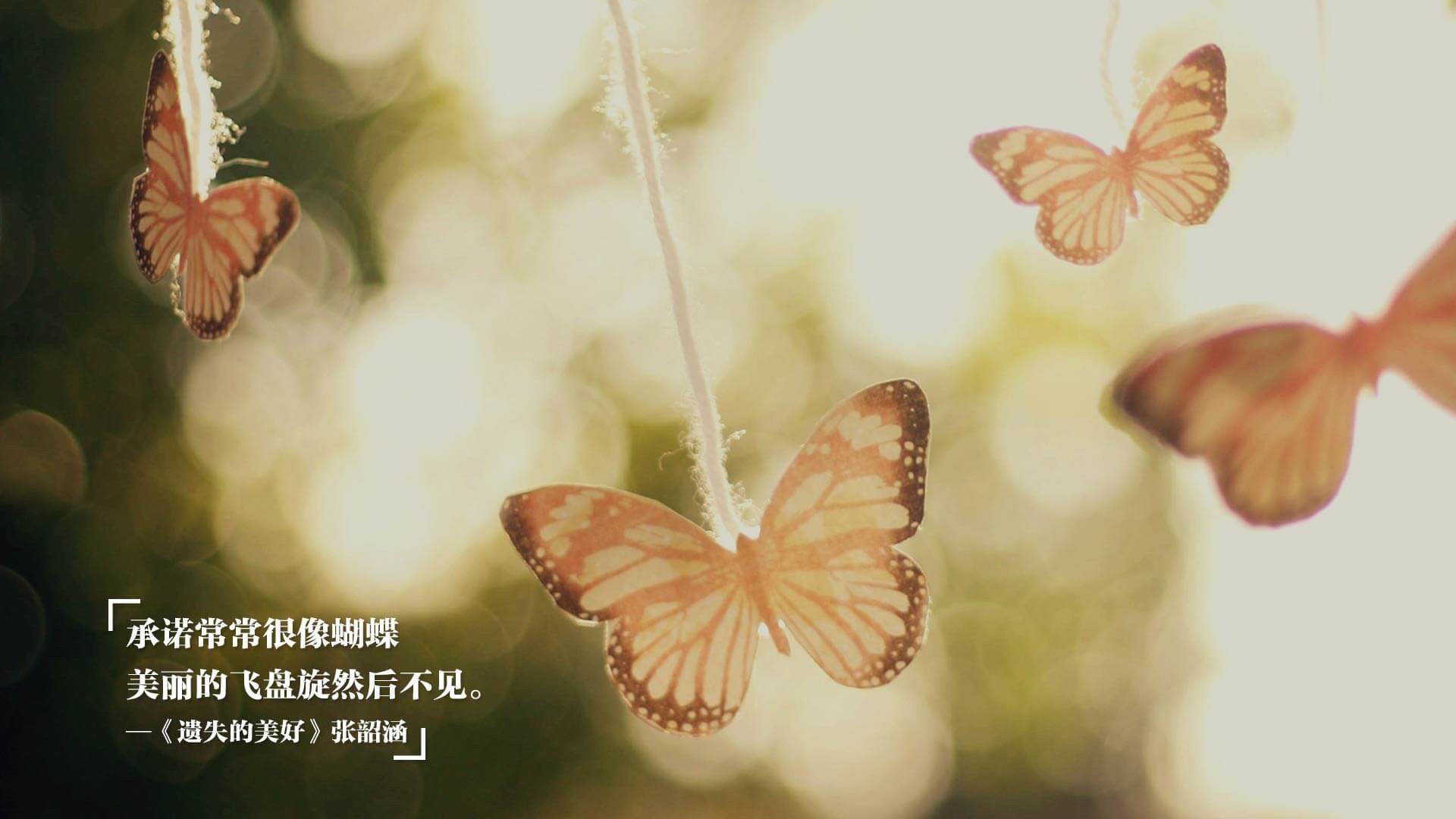 未来世俱杯:赛制升级与市场扩展规划,世俱杯2023举办城市