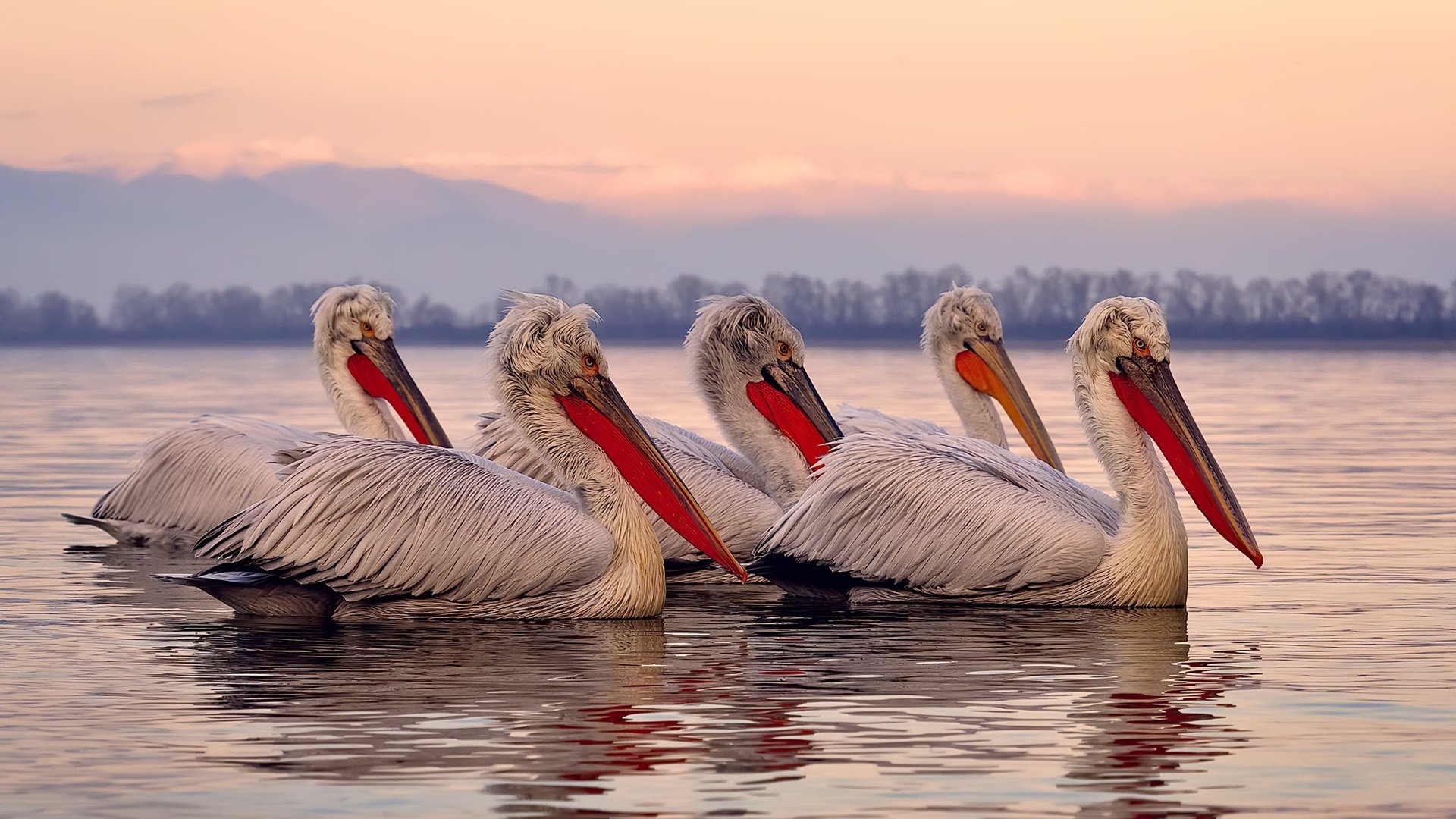 亚洲杯中国女足爆冷 战术调整引热议，中国女足冲出亚洲