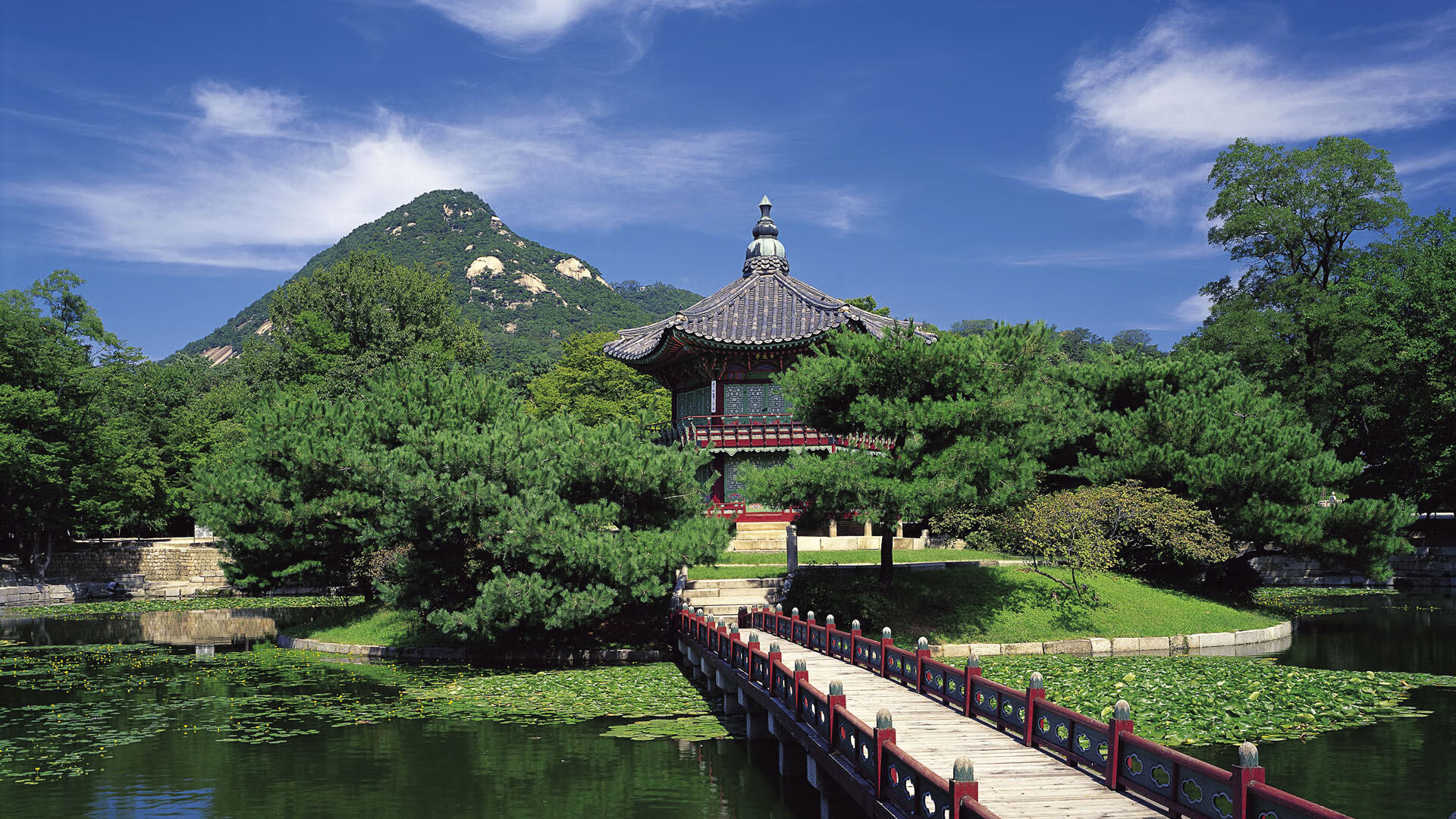 凯恩·瑞安：依靠出色的场上判断力，成为全黑队防守的坚实后盾