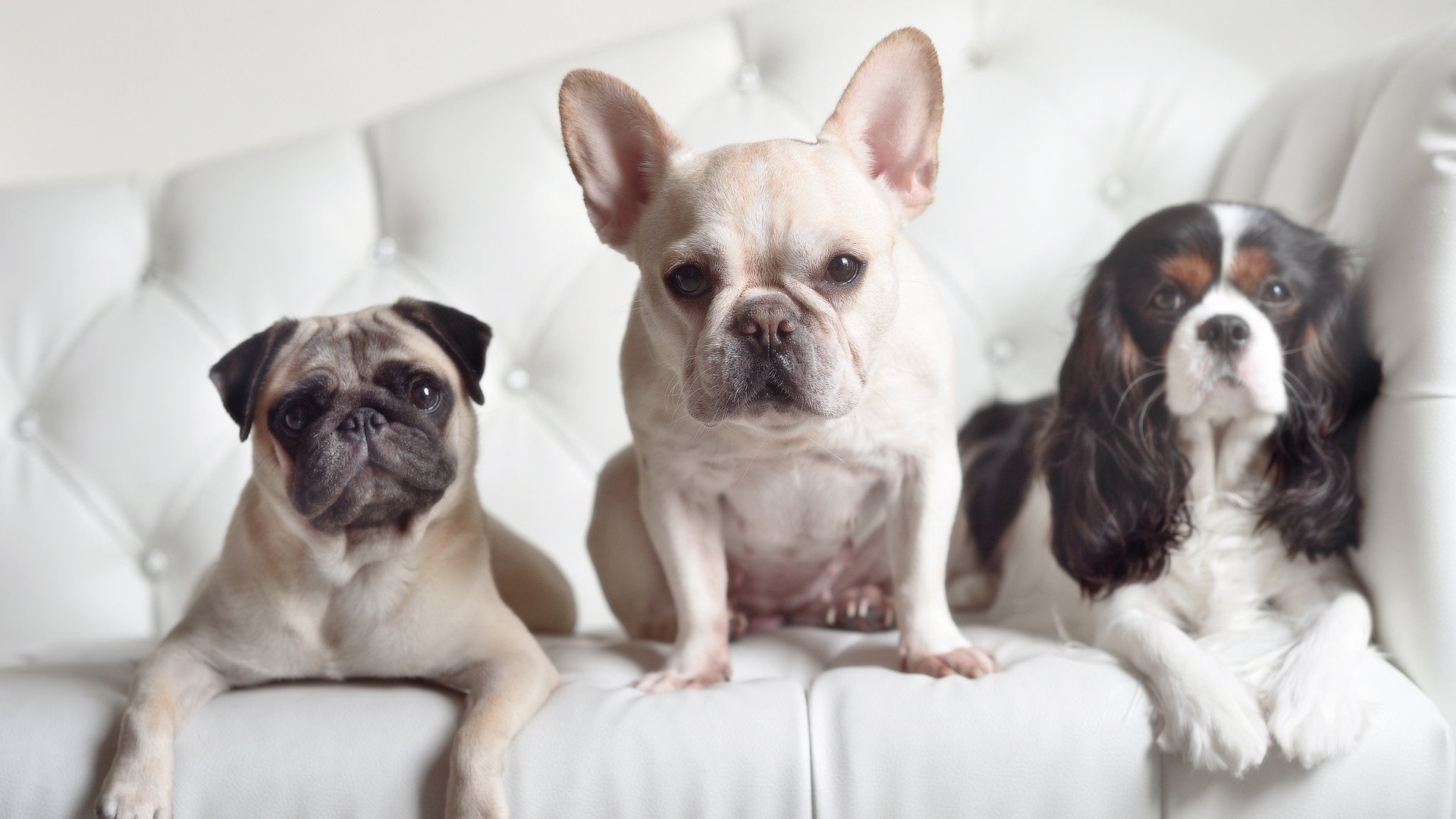 国家登山协会公布国家级技术评定标准及评分细则，国家登山证书